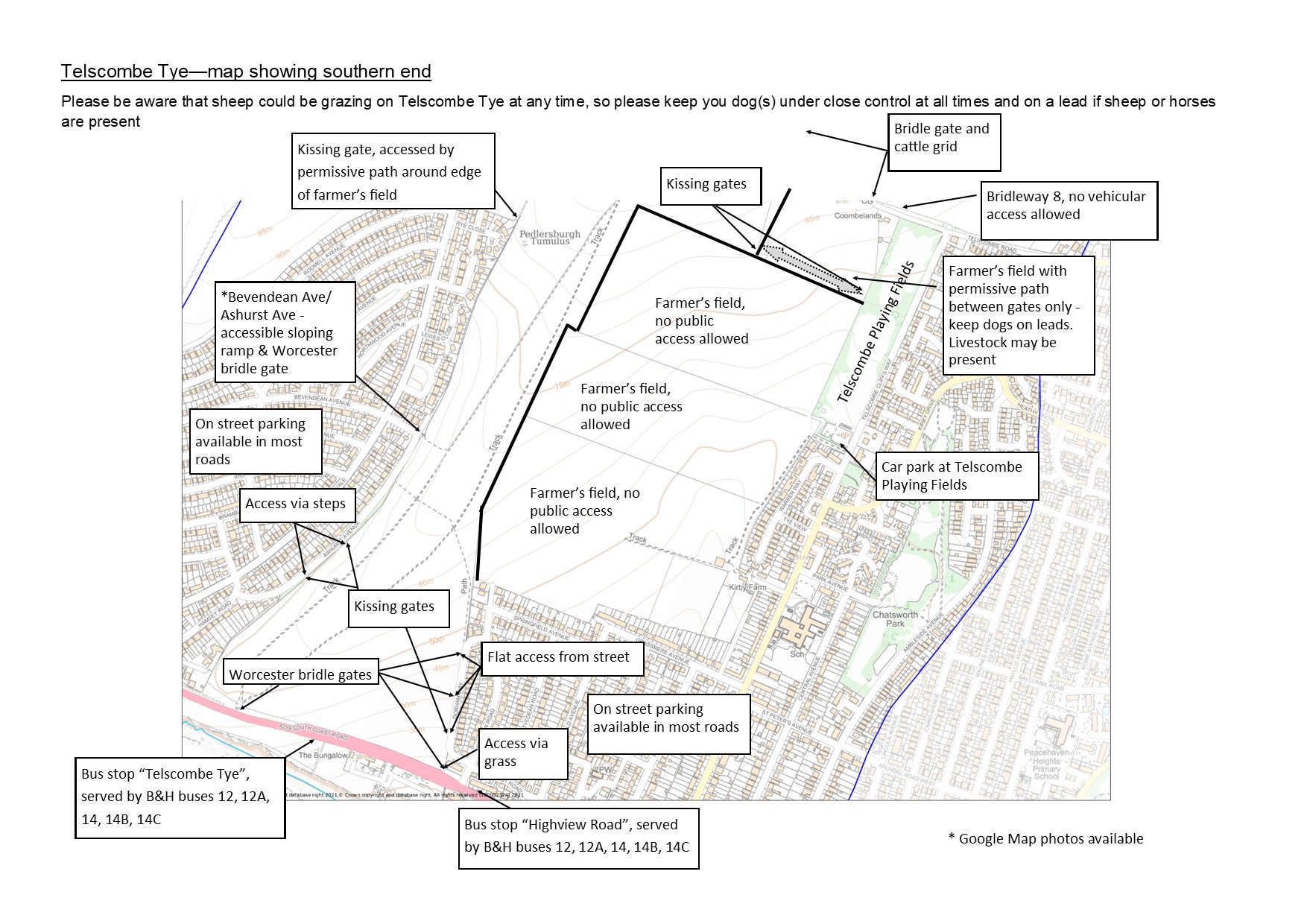 The Map Image
